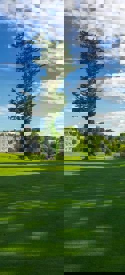 Manicured greens and fairways in County Clare near the Rine Hotel