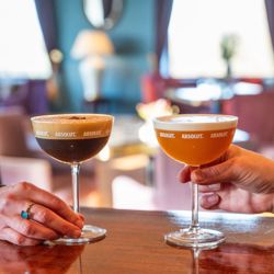 Umbraco.Cms.Core.Models.MediaWithCrops`1[Umbraco.Cms.Web.Common.PublishedModels.Image]