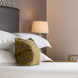 Umbraco.Cms.Core.Models.MediaWithCrops`1[Umbraco.Cms.Web.Common.PublishedModels.Image]