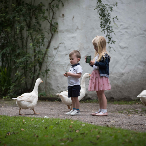 Bunratty Castle And Folk Park, Bunratty, County Clare, Ireland. 002