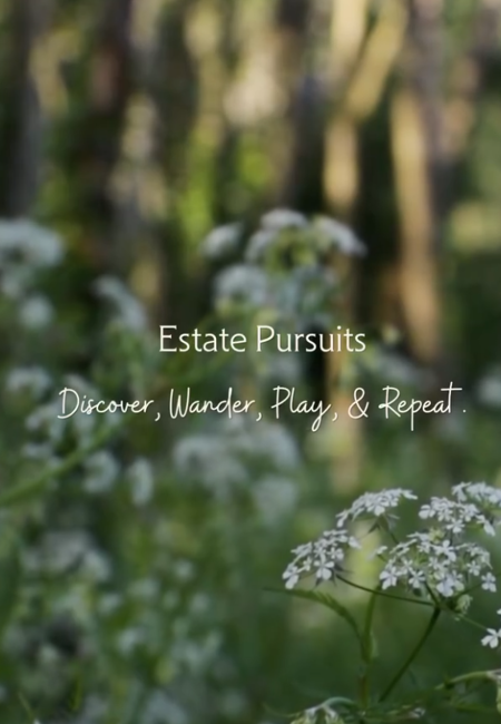 Screenshot 2026 04 16 144205