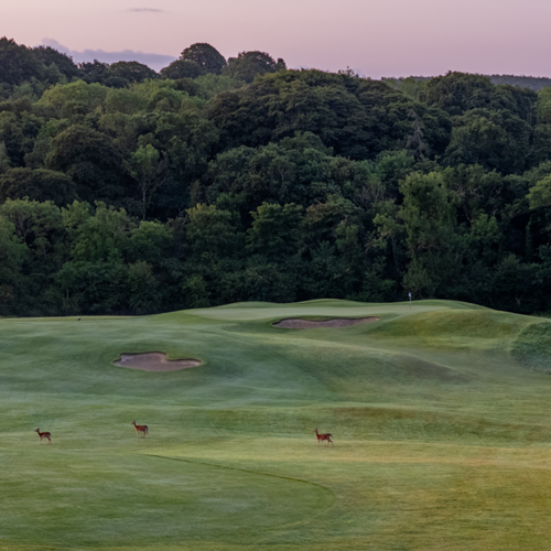 Dromoland Golf 3