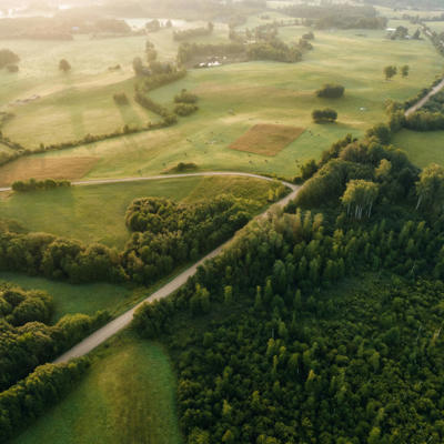 The Rine Hotel Default