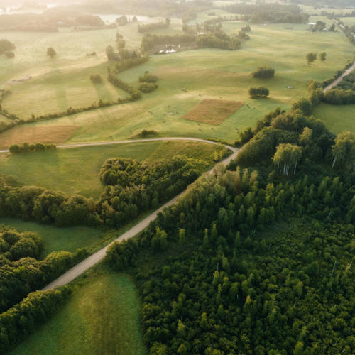 The Rine Hotel Default