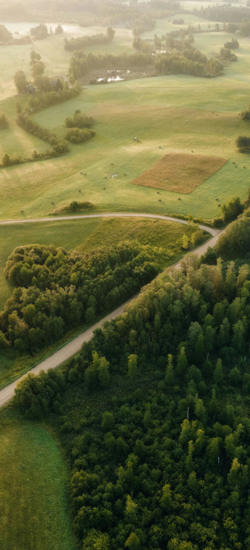 The Rine Hotel Default