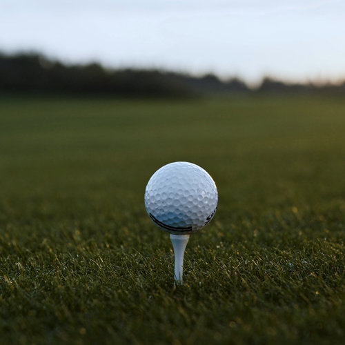 Golf Landing 1