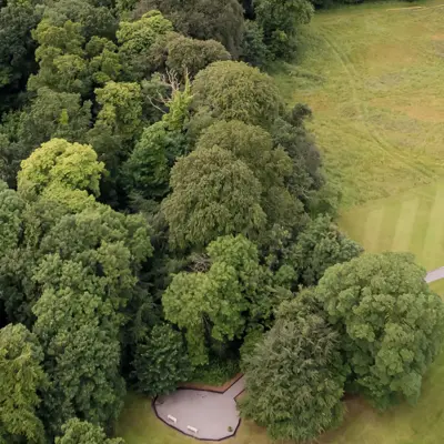 500 Acres Of Room To Roam Woodland Walks (1)