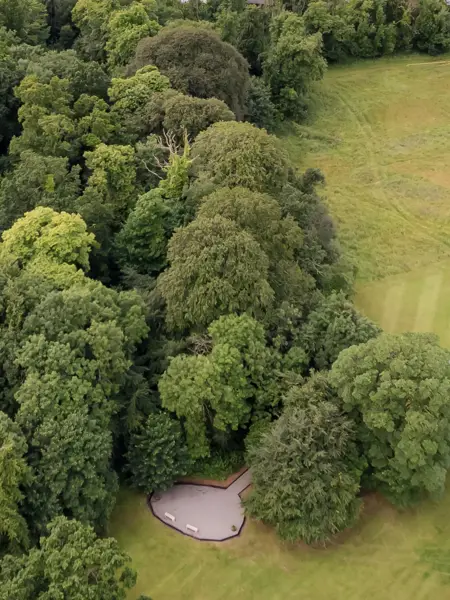 500 Acres Of Room To Roam Woodland Walks (1)