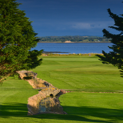 Shannon Gc